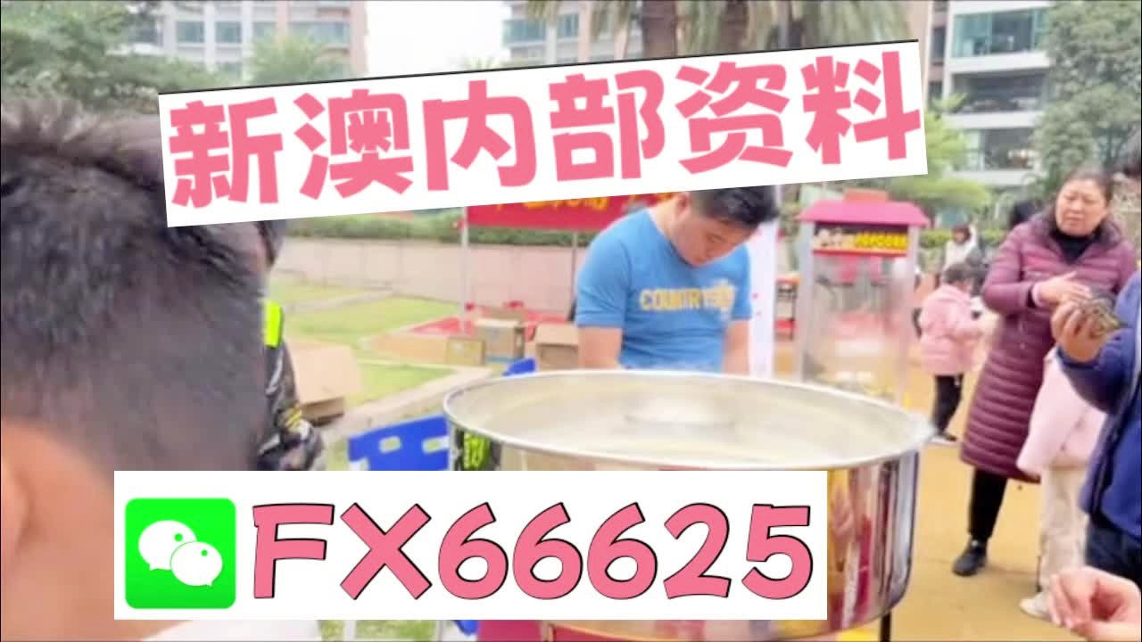 新奧2025正版資料大全，全面解析與深度探索，新奧2025正版資料大全，全面解析與深度探索揭秘