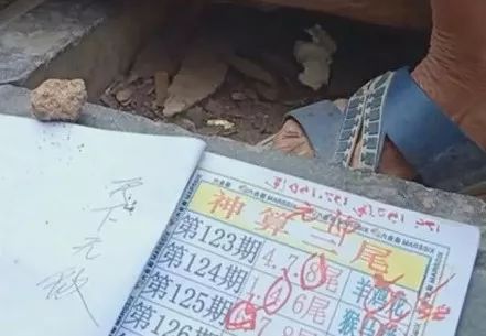 香港中特期期準(zhǔn)資料，深度解析與探索，香港中特期期準(zhǔn)資料深度解析與探索報告