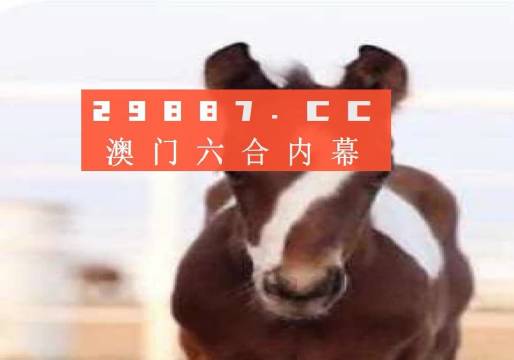 澳門(mén)一肖一碼一待一中資料，深度解析與探索，澳門(mén)一肖一碼深度解析與探索揭秘資料