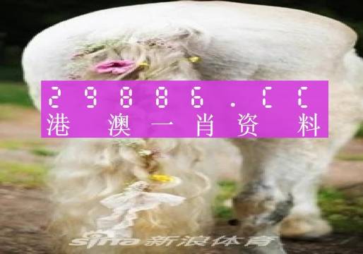 澳門羊了個羊與各大圖庫的資料揭秘，2023年澳門今晚必中一肖一碼永久免費資料庫大解密，澳門羊了個羊與資料庫揭秘，2023年必中一肖一碼永久免費資料大解密