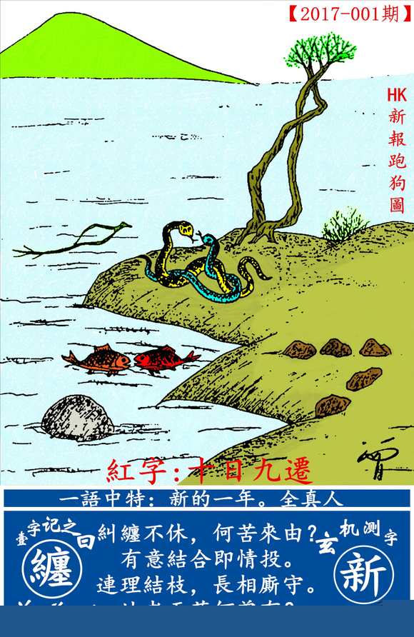 探索全新版跑狗圖，7777788888的魅力與策略，探索全新版跑狗圖，7777788888的魅力與攻略解析