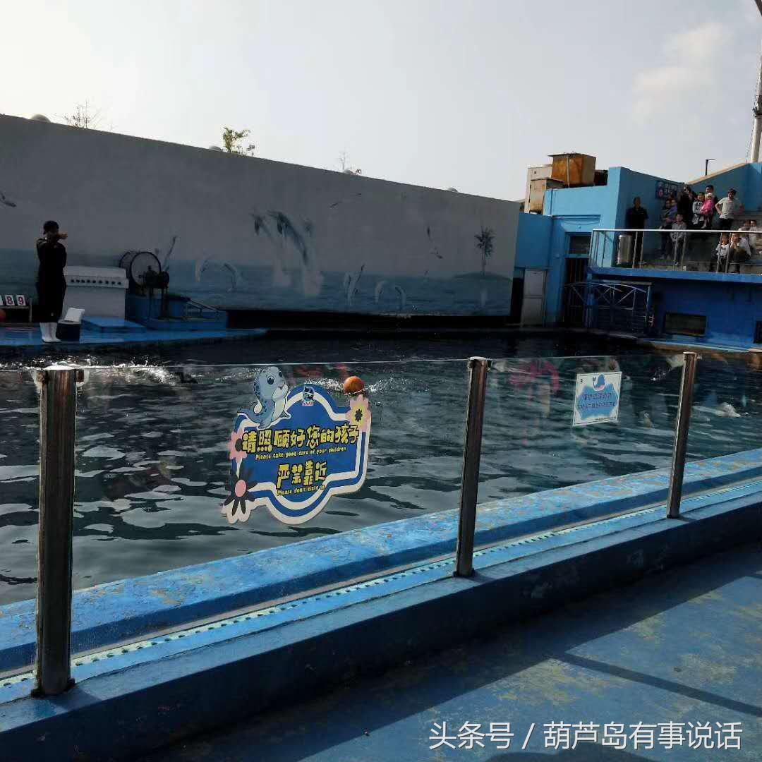 揭秘9點30分彩新澳，全方位解讀彩票新玩法，揭秘9點30分彩新澳，全方位解讀彩票新玩法攻略