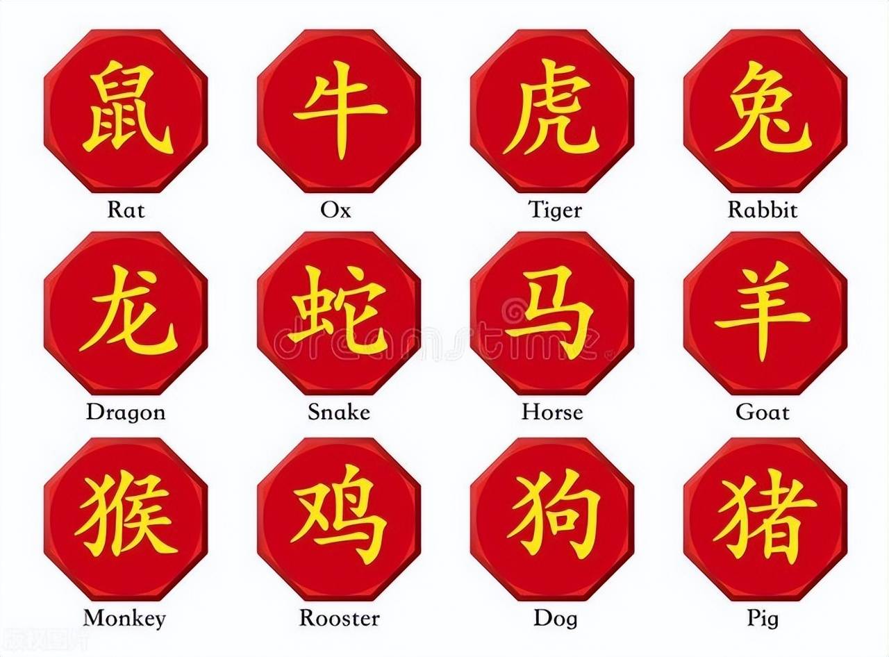 新澳特碼，羊?；⒏鲾?shù)10——揭秘背后的數(shù)字奧秘，揭秘新澳特碼數(shù)字奧秘，羊?；⒏鲾?shù)背后的秘密