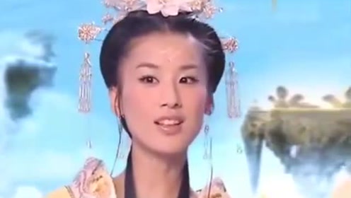 曾道道人資料免費(fèi)大全，深度探索與解析，曾道道人資料深度解析與免費(fèi)大全探索