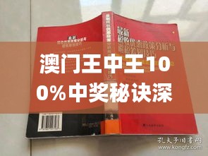 新澳門王中王期期中，探索與解析，新澳門王中王期期中，深度探索與解析