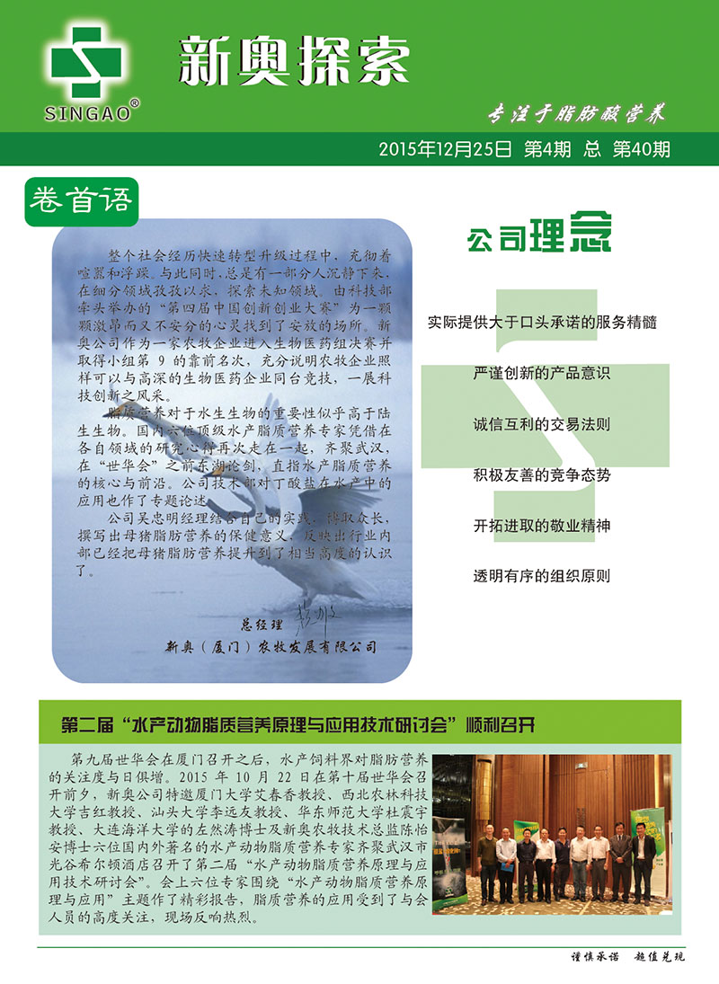 2025新澳正版資料查詢(xún)指南，2025新澳正版資料查詢(xún)手冊(cè)