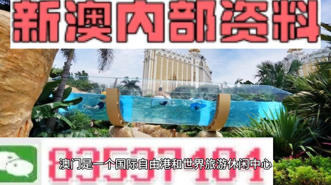 新澳的資料去哪里找——全面指南，新澳資料全攻略，尋找資料的途徑與指南