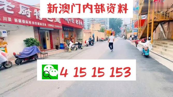 探索未來，新澳門天天開好彩的2025展望，未來展望，新澳門2025年天天彩彩紛呈的探索之路
