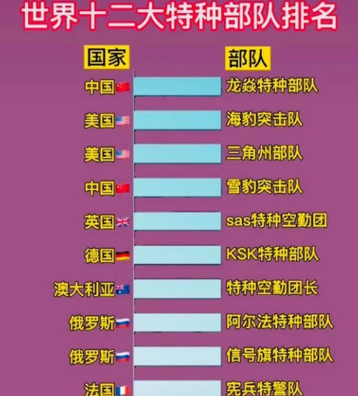 中國十大王牌特種部隊(duì)，實(shí)力與榮耀的象征，中國十大王牌特種部隊(duì)，實(shí)力與榮耀的巔峰標(biāo)志