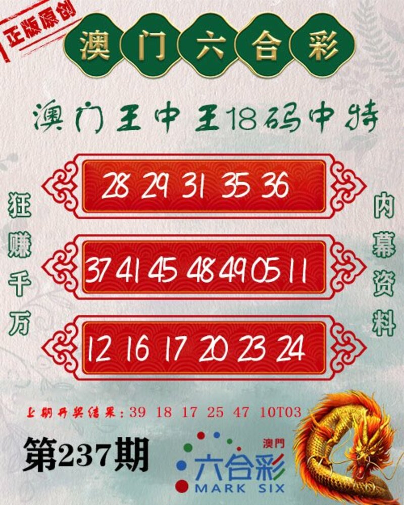 新澳門王中王期期中，探索與解析，新澳門王中王期期中，深度探索與解析