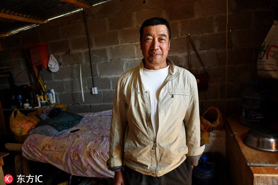 博科圣地組織，深度解析與理解，博科圣地組織深度解析與探究