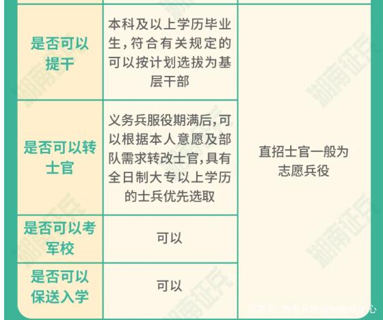 士官直招與義務(wù)兵的區(qū)別，深入了解軍隊(duì)招募制度，直招士官與義務(wù)兵招募制度深度解析，軍隊(duì)招募制度詳解