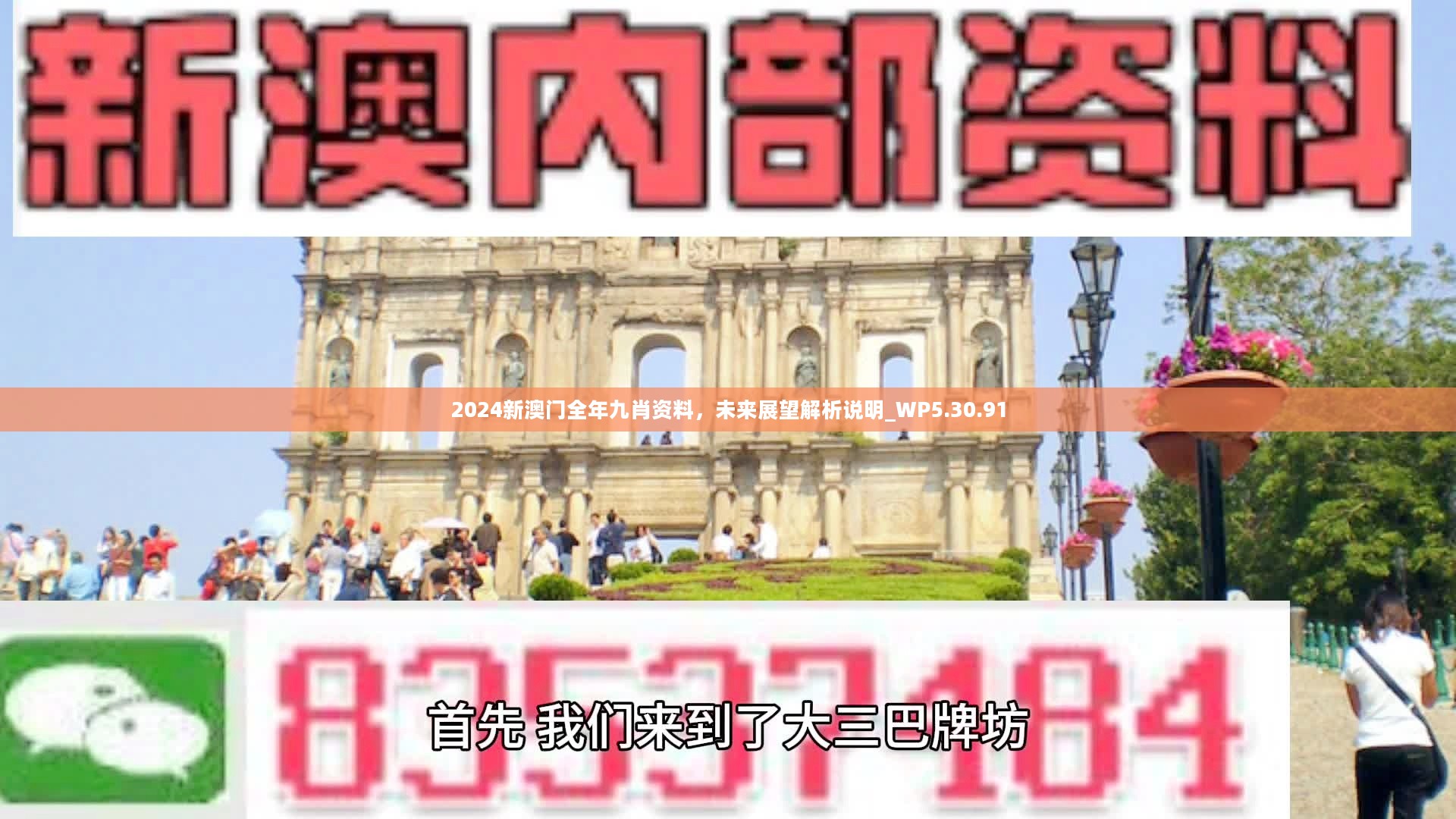 新澳門精準(zhǔn)九肖，揭秘預(yù)測(cè)技巧與策略，揭秘新澳門精準(zhǔn)九肖預(yù)測(cè)技巧與策略