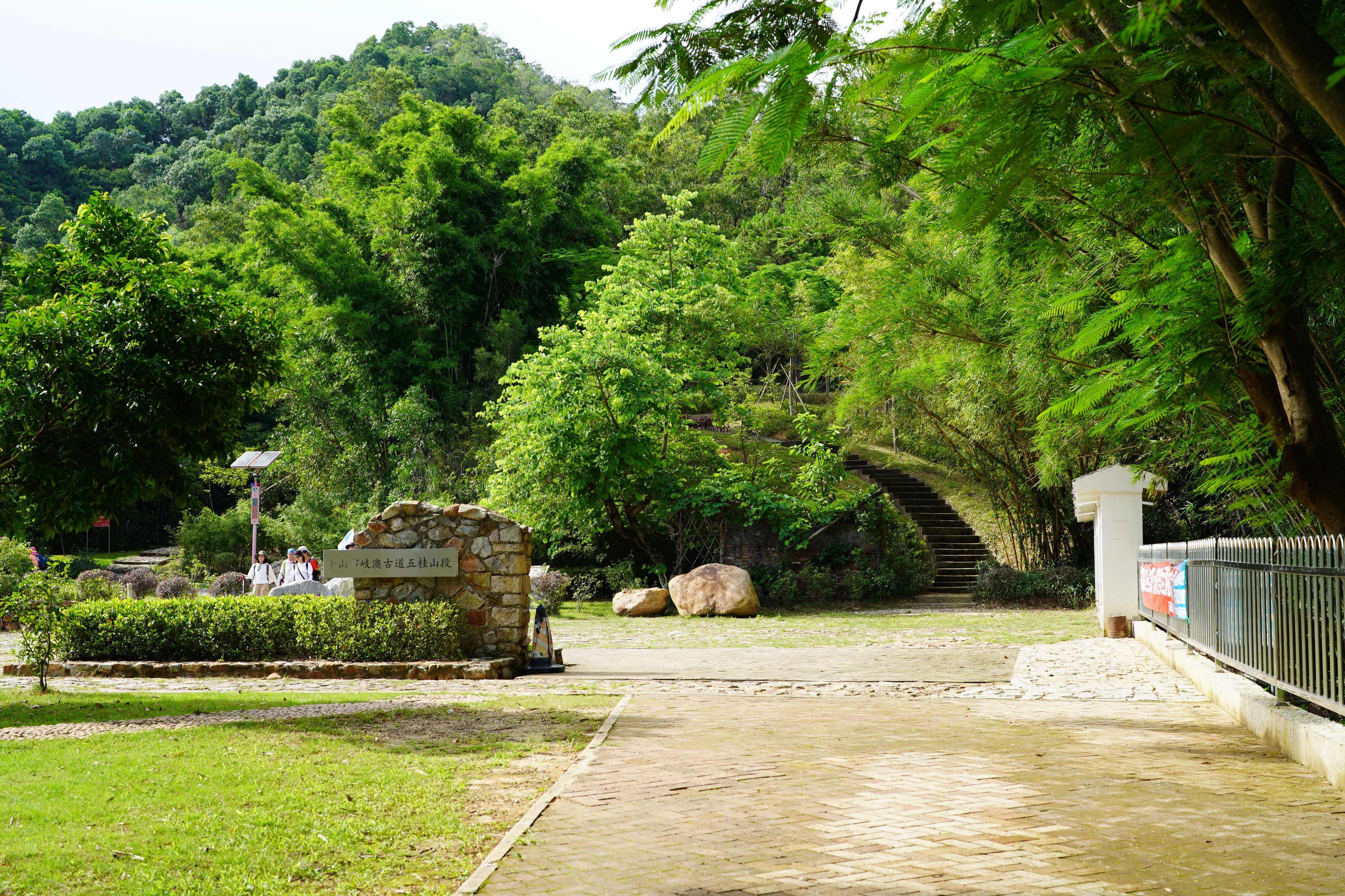 新澳門波色走勢(shì)圖表大全，深度解析與預(yù)測(cè)，澳門波色走勢(shì)圖表解析與預(yù)測(cè)大全