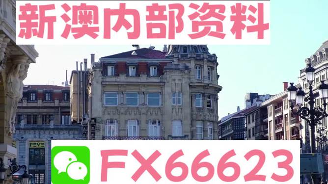 澳門六資料大全，深度探索與揭秘，澳門六資料大全，深度探索與揭秘之旅