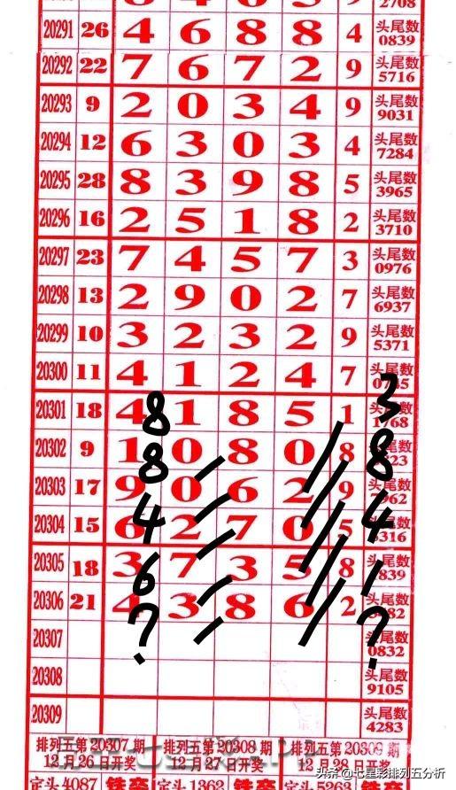 四肖八碼精準資料，每期準確預測，助力你的投注之路，四肖八碼精準預測，每期助力投注之路成功！
