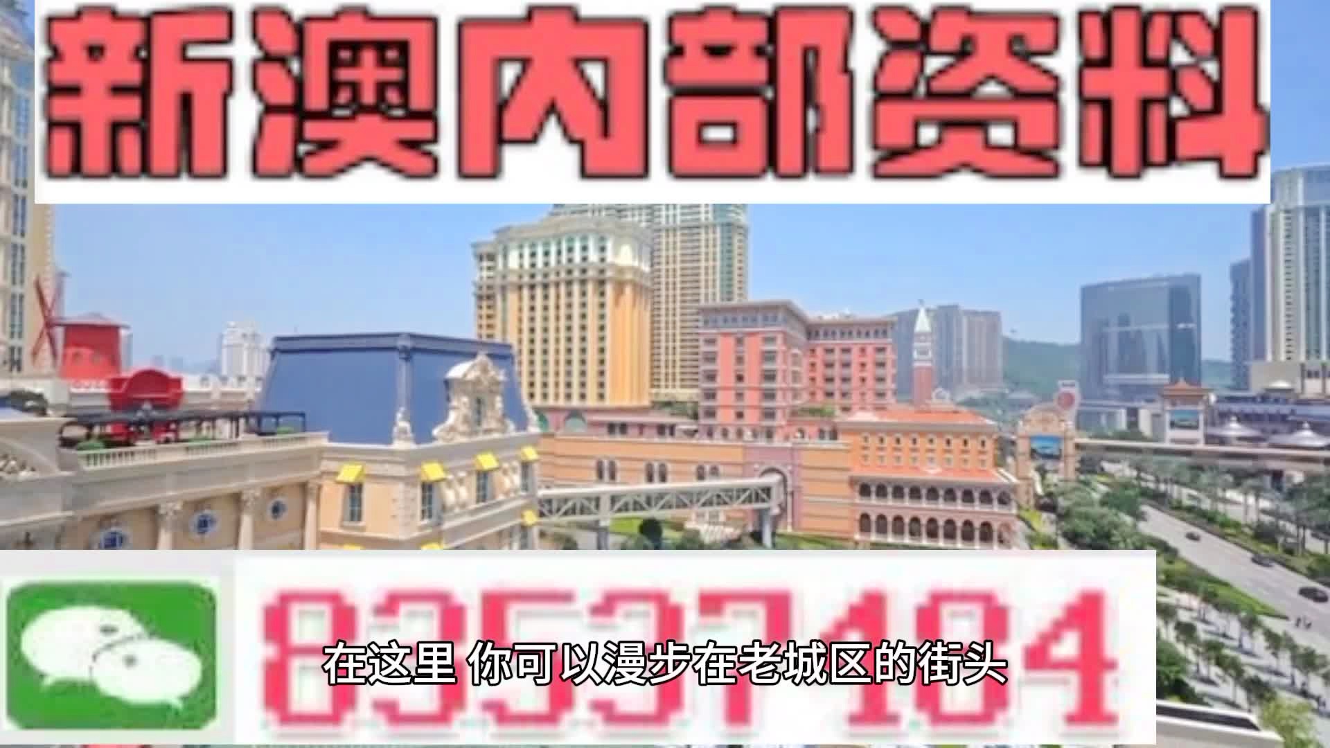 新澳門期期準(zhǔn)精準(zhǔn)，探索澳門的未來與SEO策略，澳門未來展望與SEO策略探索，精準(zhǔn)瞄準(zhǔn)新機(jī)遇