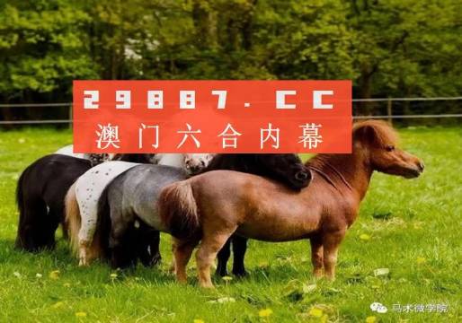 獨(dú)特魅力與背后秘密