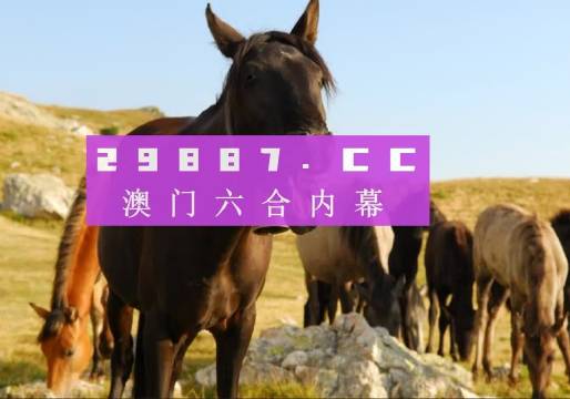 澳門49圖庫(kù)下載安裝綠色，全面指南與優(yōu)勢(shì)解析，澳門49圖庫(kù)下載安裝綠色版，全面指南與優(yōu)勢(shì)深度解析