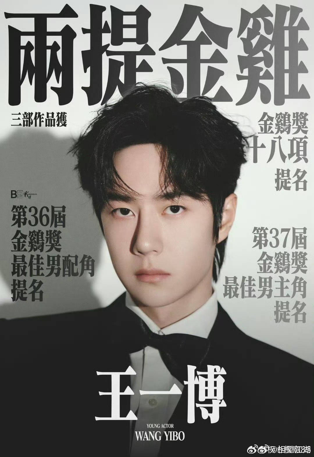 王中王一肖中特論特，深度解析與SEO洞察，深度解析王中王一肖中特論特與SEO洞察