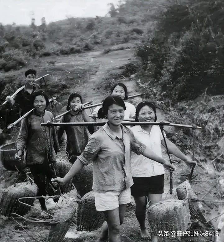關(guān)于49圖庫圖片資料的專業(yè)解析與探索，49圖庫圖片資料深度解析與探索