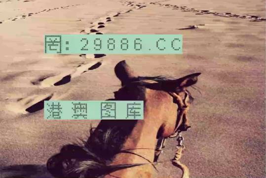 香港特馬資料王中王24期，深度解析與探索，香港特馬資料王中王深度解析與探索，第24期探索之旅
