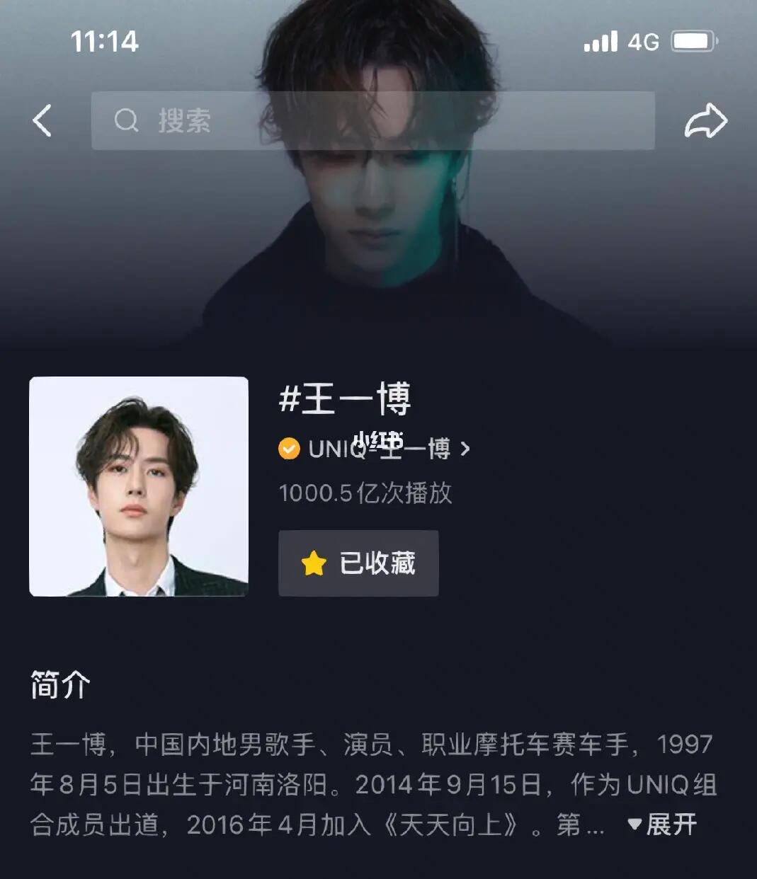 王中王一肖內(nèi)部資料詳解，王中王一肖內(nèi)部資料深度解析