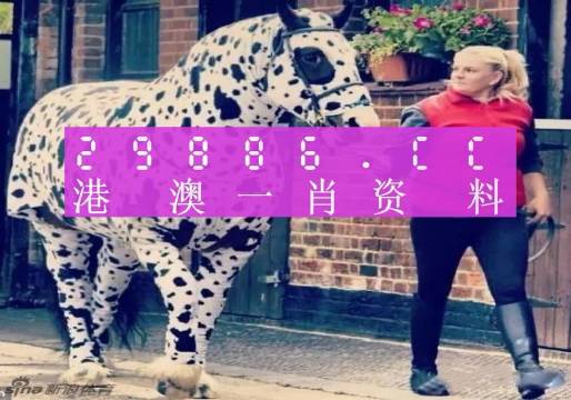 香港網址王中王一肖中特，探索與解析，香港網址王中王一肖中特，深度探索與解析