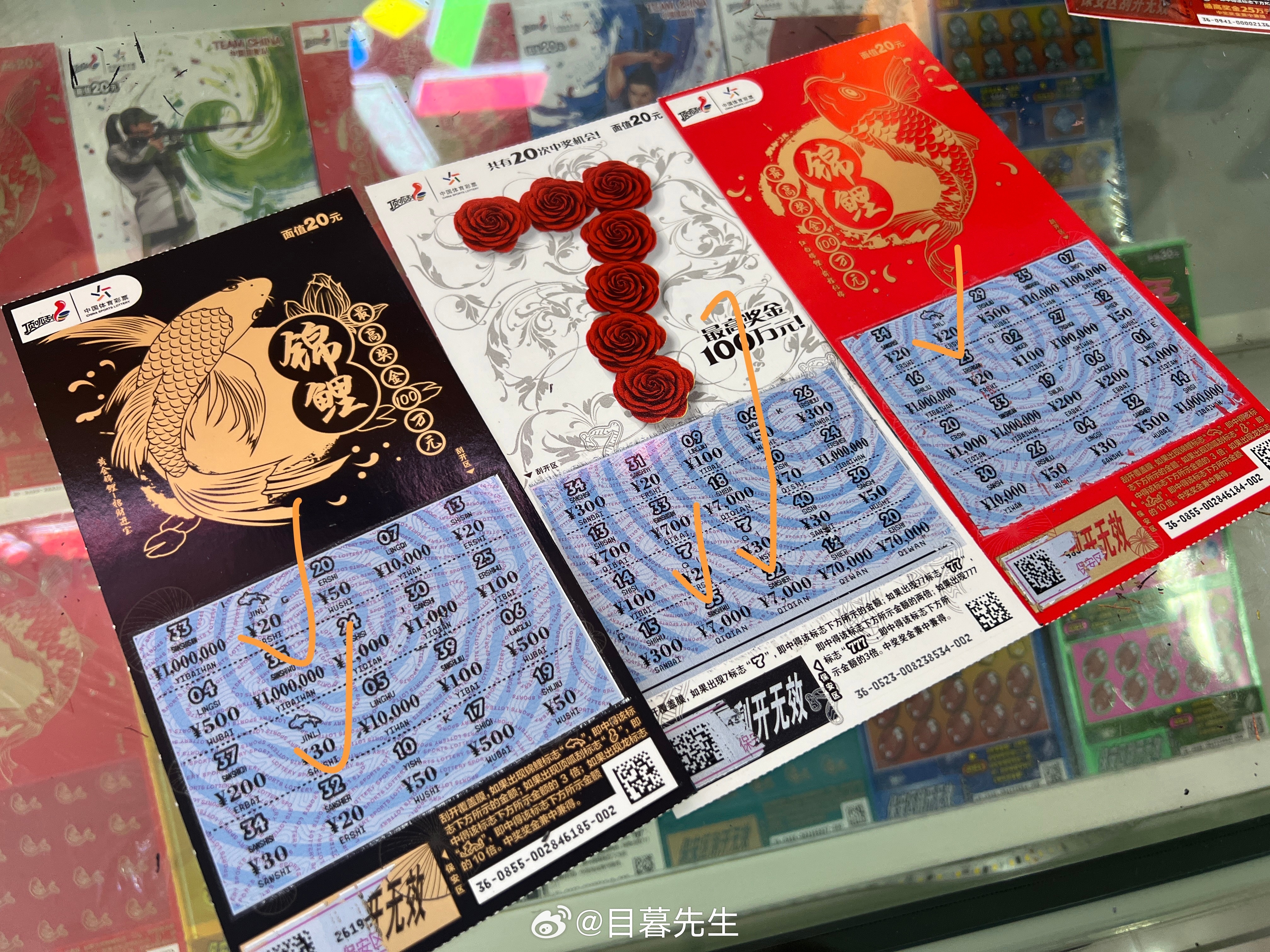 全年王中王一肖中特，深度解析與預(yù)測(cè)，全年王中王一肖深度解析與預(yù)測(cè)，揭秘特肖趨勢(shì)