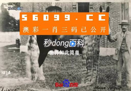 澳門王中王心水王中王，探索與解析，澳門王中王心水奧秘，深度探索與解析
