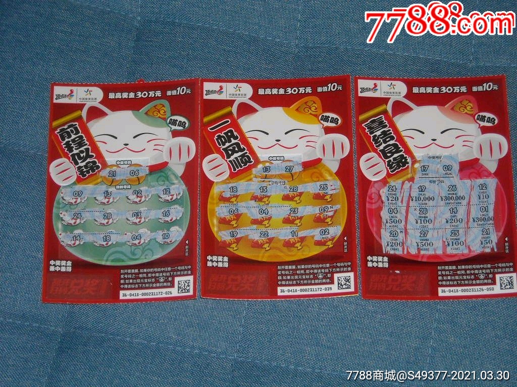 揭秘王中王資料一肖中特y招財貓，真相與秘密，揭秘王中王資料與招財貓，真相與秘密探索