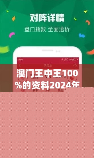 王中王網(wǎng)站一肖，探索與SEO優(yōu)化策略，王中王網(wǎng)站一肖，深度探索與SEO優(yōu)化策略實踐