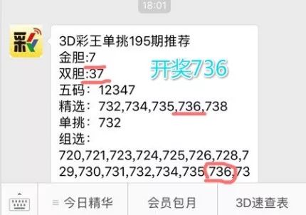 王中王一肖中特4993，深度解析與探索，王中王一肖中特4993深度解析與探索報(bào)告