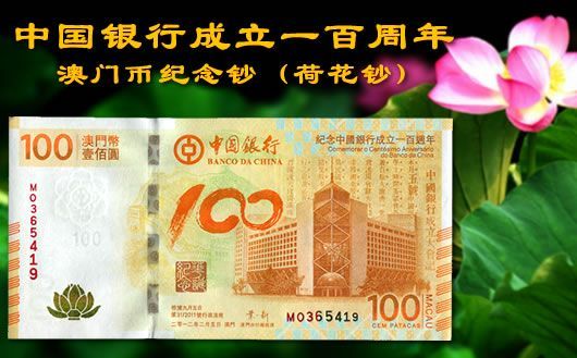 新澳門掛牌正版掛牌完整掛牌，探索與解析，澳門正版掛牌詳解，探索完整流程與解析