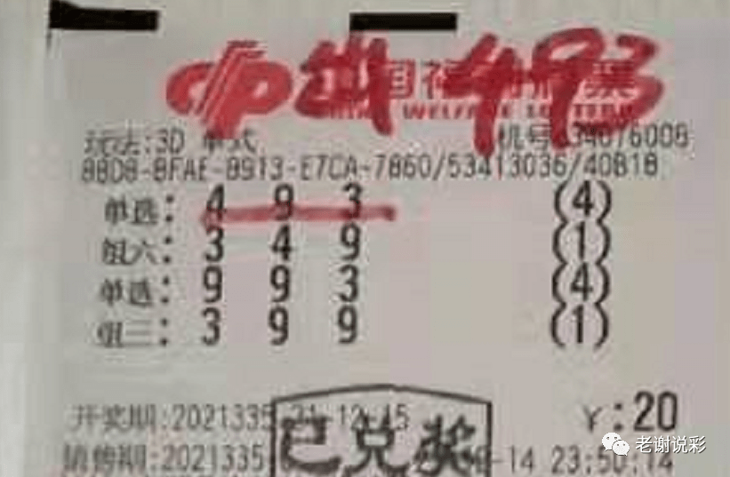 新奧門彩天天開獎資料一網(wǎng)羅萬象，揭秘彩票奧秘，揭秘彩票奧秘，新奧門彩天天開獎資料一網(wǎng)羅萬象