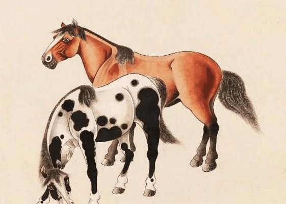 馬一王中王特平一肖圖，深度解析與SEO優(yōu)化策略，深度解析馬一王中王特平肖圖，SEO優(yōu)化策略探討