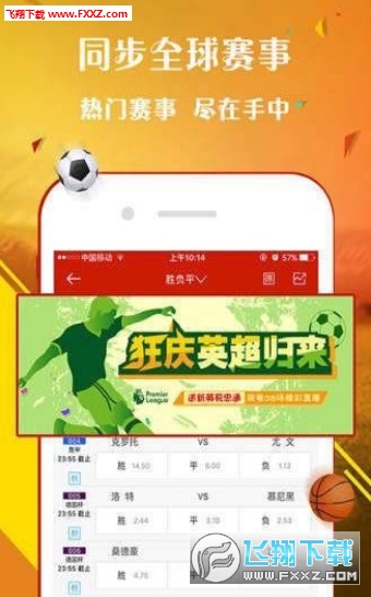 王中王一肖，探尋背后的故事與影響力（2019年），王中王一肖，背后的故事與影響力揭秘（2019年）