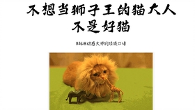 王中王013期指一生肖——探尋背后的秘密與奧秘，王中王013期生肖揭秘，探尋背后的秘密與奧秘之旅