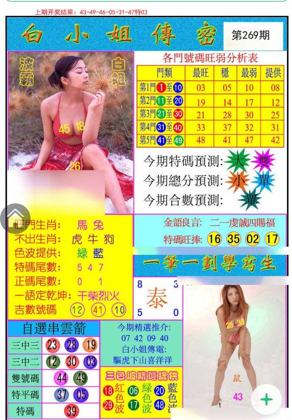 揭秘白小姐與王中王平持一肖的神秘面紗，白小姐與王中王，揭秘神秘生肖預測面紗