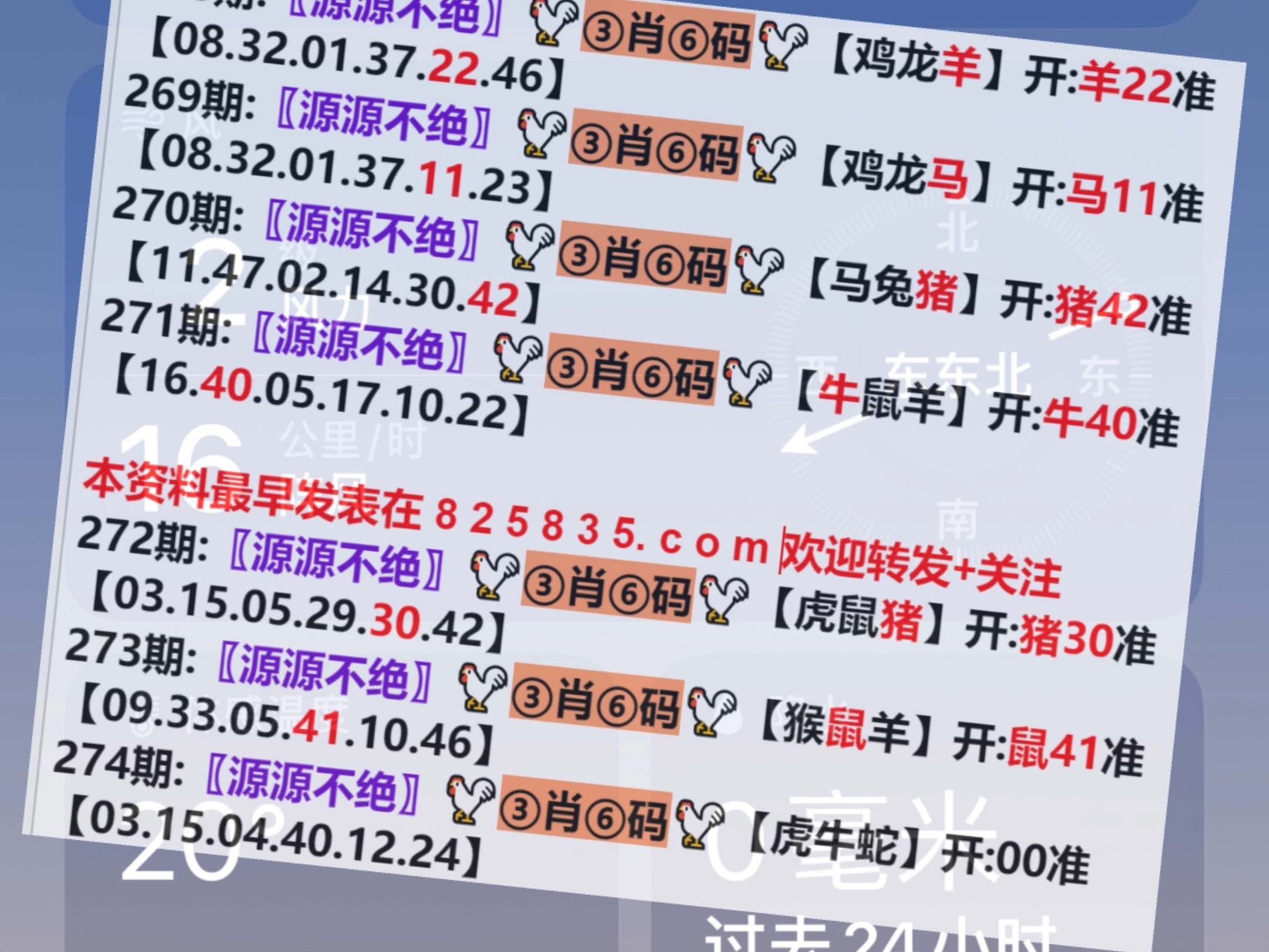 澳門一肖一碼開獎結(jié)果，揭秘彩票背后的秘密，澳門彩票開獎結(jié)果揭秘，一肖一碼背后的秘密