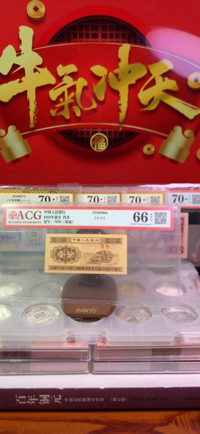 王中王廣東一肖，探尋背后的故事與奧秘，王中王廣東一肖，背后的故事與奧秘探尋