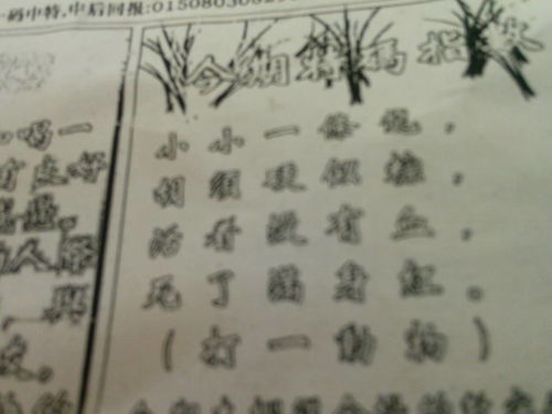 劉伯溫猜一生肖2022，神秘預(yù)言還是精準(zhǔn)預(yù)測(cè)？，劉伯溫生肖預(yù)測(cè)揭秘，神秘預(yù)言還是精準(zhǔn)預(yù)測(cè)？