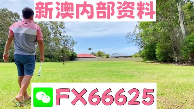 王中王兩肖一碼，揭秘背后的奧秘，王中王兩肖一碼揭秘，背后的秘密與奧秘
