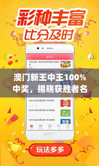 王中王藏寶閣猜一肖，揭秘背后的秘密與SEO策略，王中王藏寶閣猜一肖背后的秘密與SEO策略揭秘
