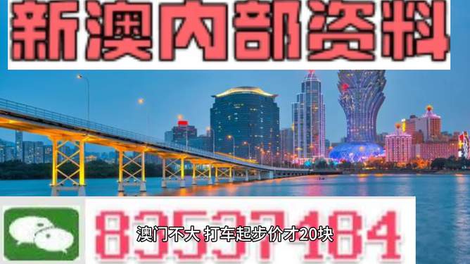 新澳內(nèi)部期期精準(zhǔn)，深度解析與SEO優(yōu)化策略，新澳內(nèi)部期期精準(zhǔn)深度解析與SEO優(yōu)化策略探討