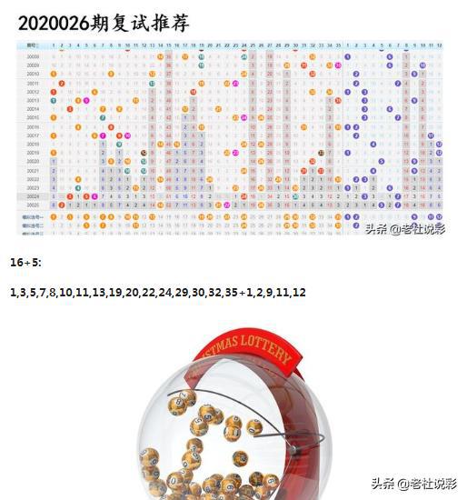 王中王026期指一生肖，深度解讀與SEO優(yōu)化策略，王中王026期生肖深度解讀與SEO優(yōu)化策略全解析