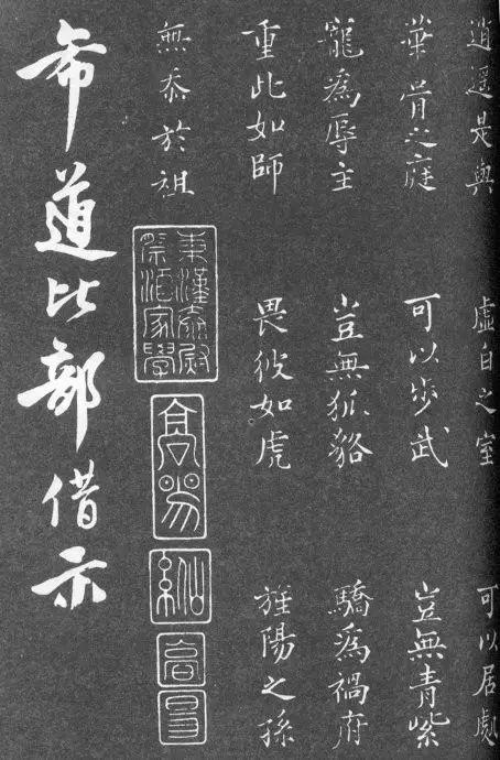 一肖二碼中特的意思解析，一肖二碼中特的意思深度解析