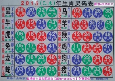 揭秘2025十二生肖與數(shù)字彩票的神奇聯(lián)系——49碼表全解析，揭秘十二生肖與數(shù)字彩票的神秘聯(lián)系，2025年49碼表深度解析