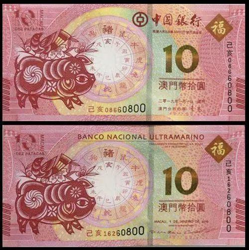 澳門天天彩期期精準十二生肖預測——揭秘彩票背后的秘密，澳門天天彩期期精準十二生肖預測，彩票背后的秘密大揭秘