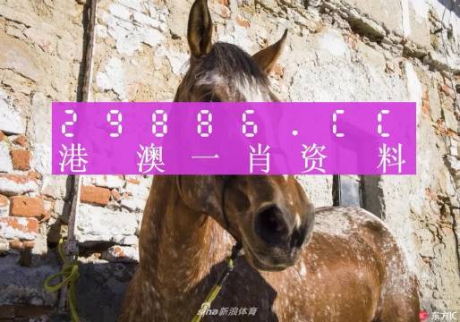 王中王資料一門肖中，深度解析與探索，王中王資料一門肖詳解，深度解析與探索